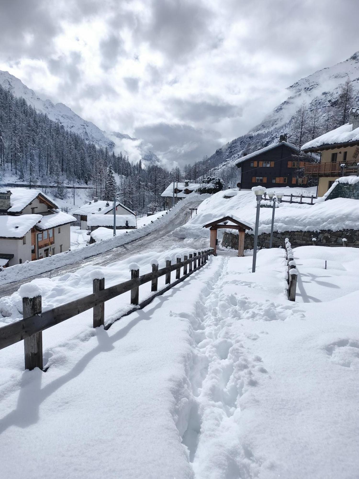 Punta Vittoria Sub 14 - Residence Anderbatt Gressoney - 3 Locali - Cir N 0010 Staval Eksteriør bilde